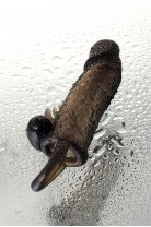 Насадка Toyfa XLover, для увеличения размера с кольцом и вибрацией, черная прозрачная, 14.5 см