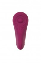 Набор вибраторов Satisfyer Box 1 Connect App (Double Joy + Sexy Secret)