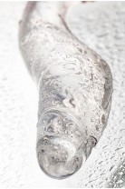 Sexus Glass, прозрачный, 17,5 см