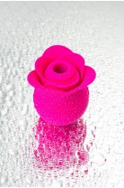 Вакуум-волновой стимулятор клитора Satisfyer Pro 2 Modern Blossom, силикон, розовый, 6,6 см