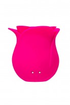 Вакуум-волновой стимулятор клитора Satisfyer Pro 2 Modern Blossom, силикон, розовый, 6,6 см