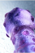 Sexus Glass, сиреневый, 19,5 см