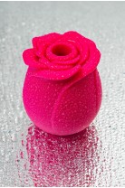 Вакуум-волновой стимулятор клитора Satisfyer Pro 2 Classic Blossom, силикон, бордовый, 6,6 см