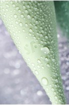 Точечный вибратор с вакуумной стимуляцией Satisfyer Twirling Pro Connect App, силикон, мятный, 20 см