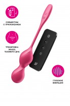 Вагинальные шарики с вибрацией Satisfyer Love Birds 2 Connect App, с пультом ДУ, красный, 22,2 см Вагинальные шарики с вибрацией Satisfyer Love Birds 2 Connect App, с пультом ДУ, красный, 22,2 см